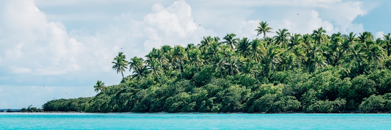 Leaving Bird Island