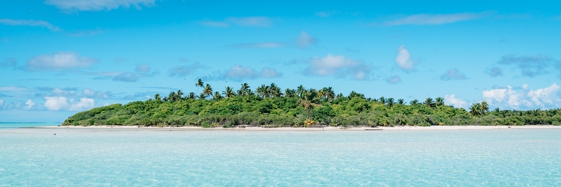 Passing Bird Island