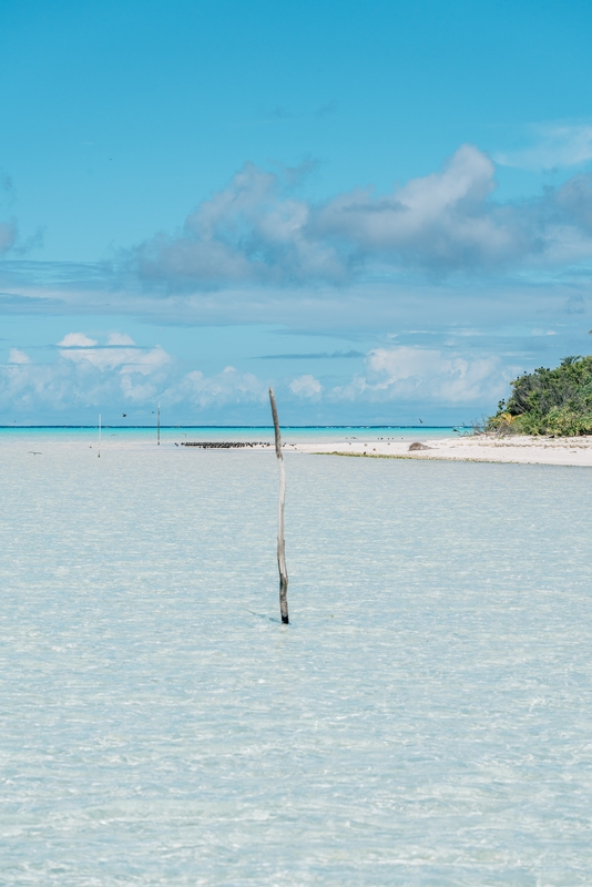 Walking Along Bird Island