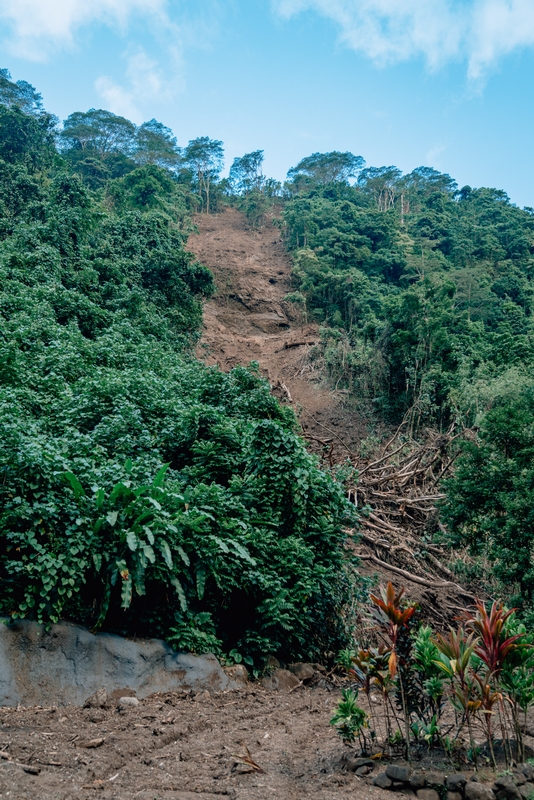 A Massive Landslide the Week Prior