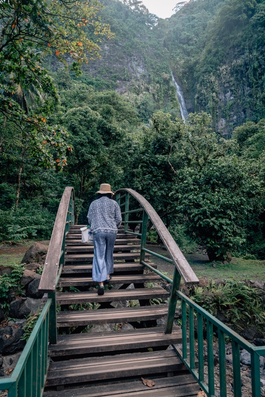 Over the Bridge to the Waterfall