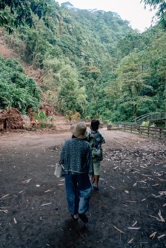 Walking Toward the Waterfall on Tahiti