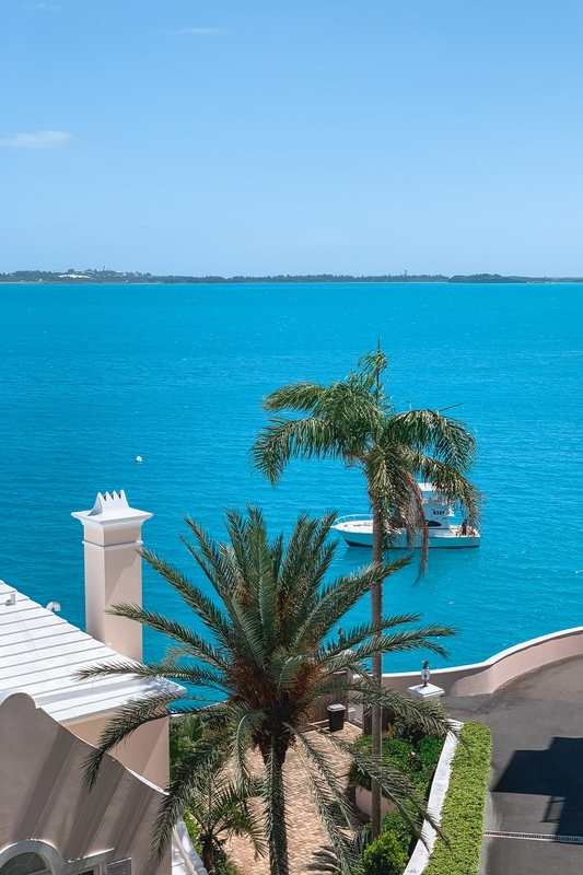 Palm Tree by Turquoise Waterfront