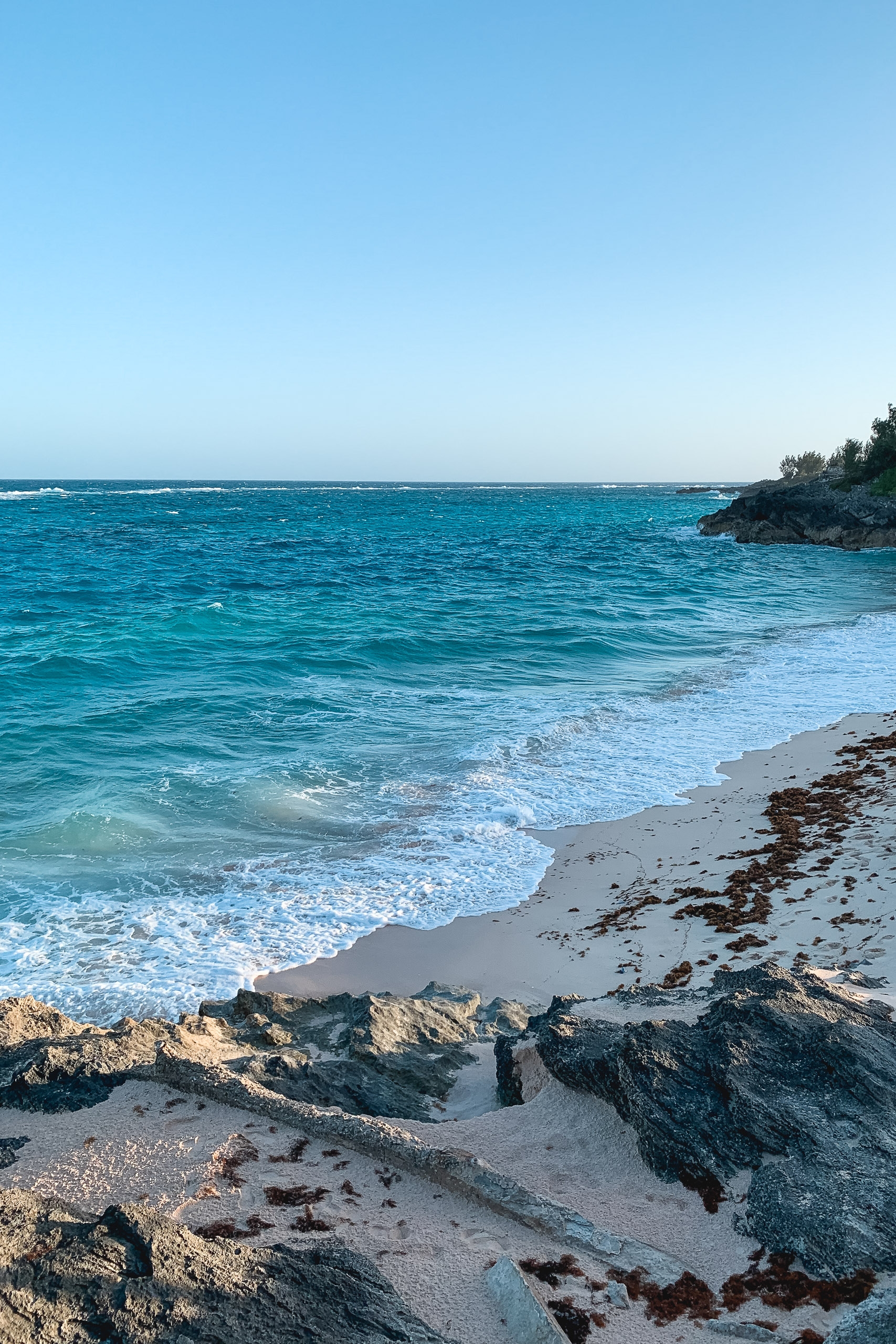 Rocky shoreline with turquoise waves rolling onto pink sand beach, forested headland visible in the distance under clear blue sky
