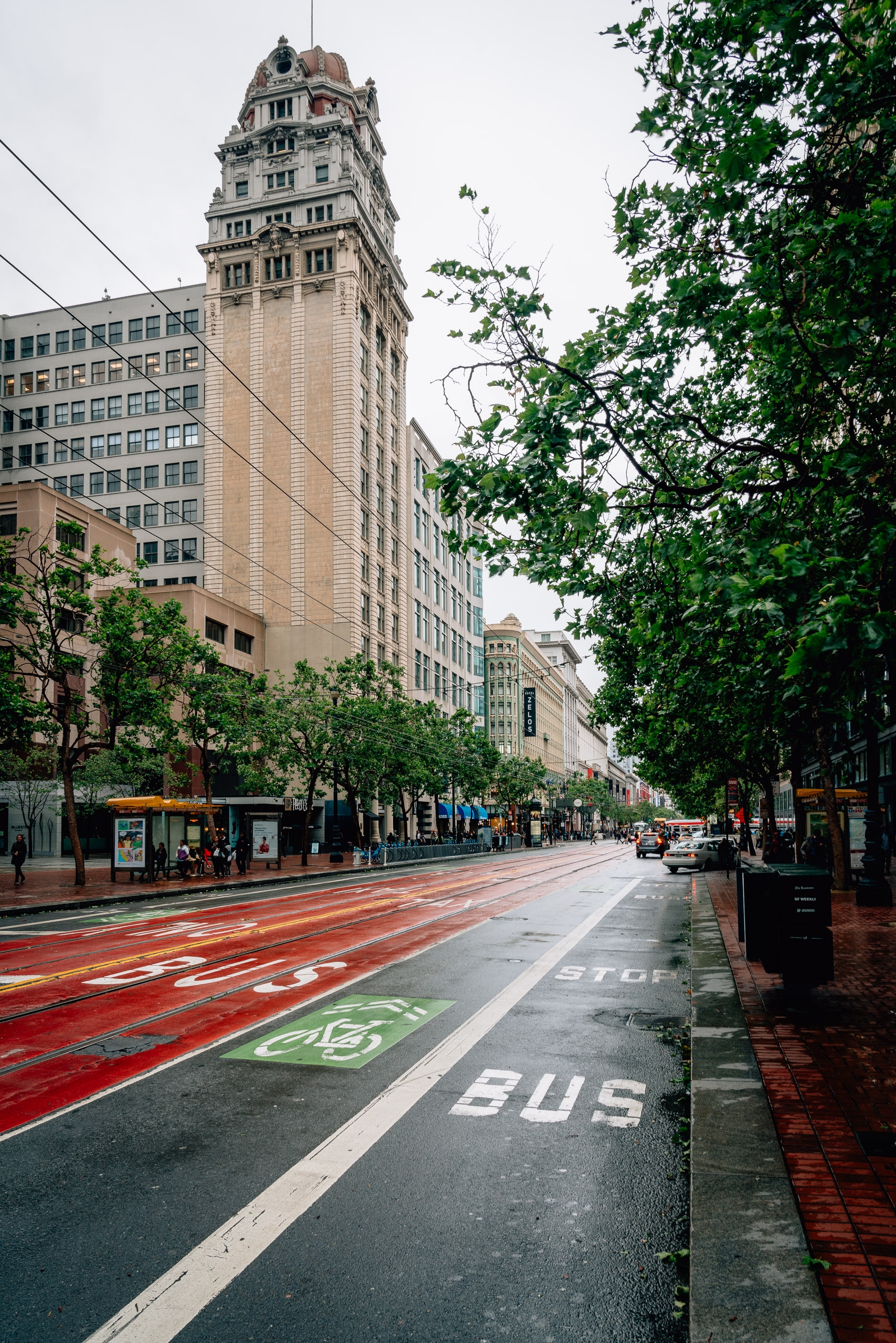 Market Street in San Francisco stretches toward a historic tower with ornate architecture, flanked by tall buildings and lush green foliage, with red bus lane markings visible on the wet pavement