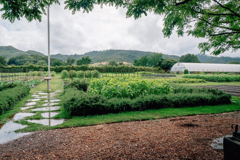 Farm Landscape With Greenhouse and Gardens