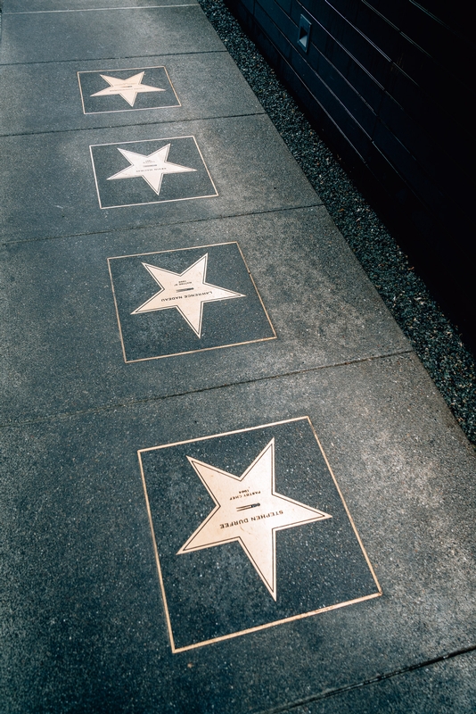 Hollywood Walk of Fame Stars