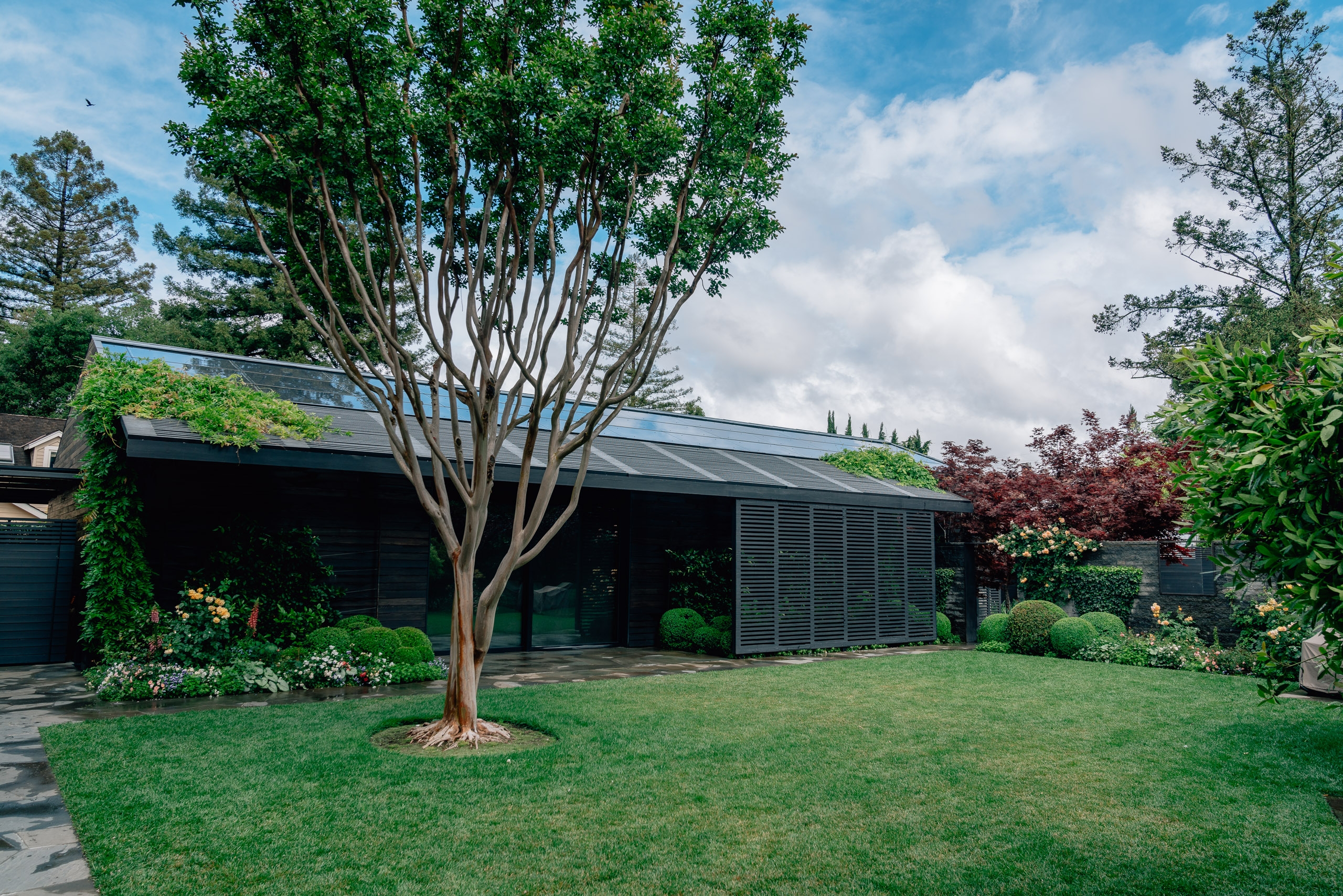 A modern black residential home with clean lines sits behind manicured lawn and a multi-stemmed tree, surrounded by lush green landscaping under partly cloudy sky