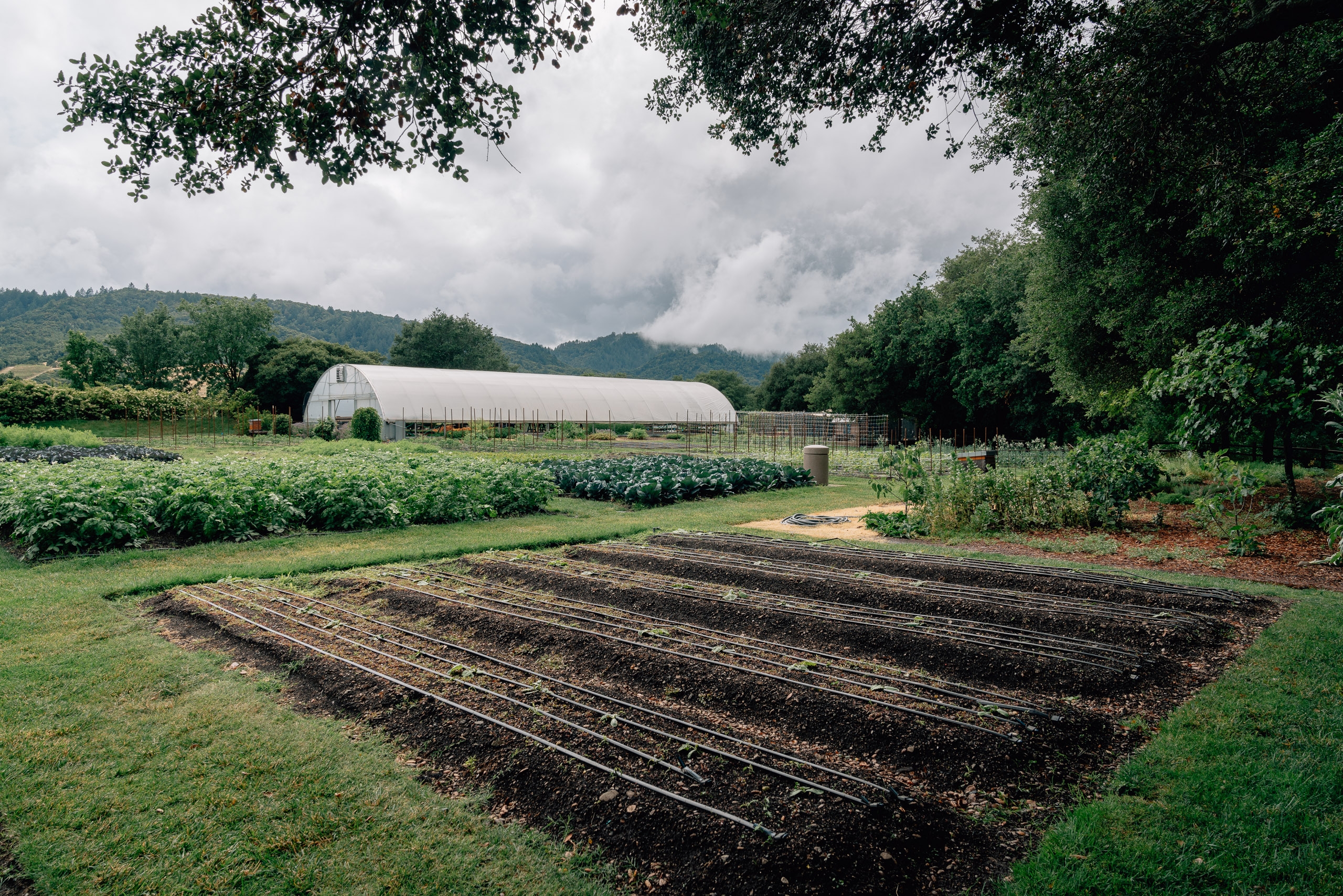A working farm garden displays tilled rows in the foreground with a white greenhouse structure, lush green fields, and forested hillsides under overcast skies