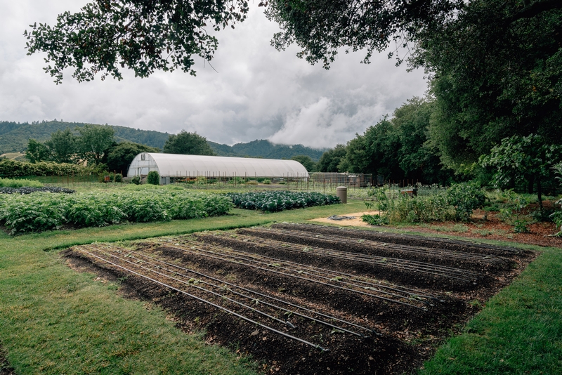 Working Farm Garden With Greenhouse