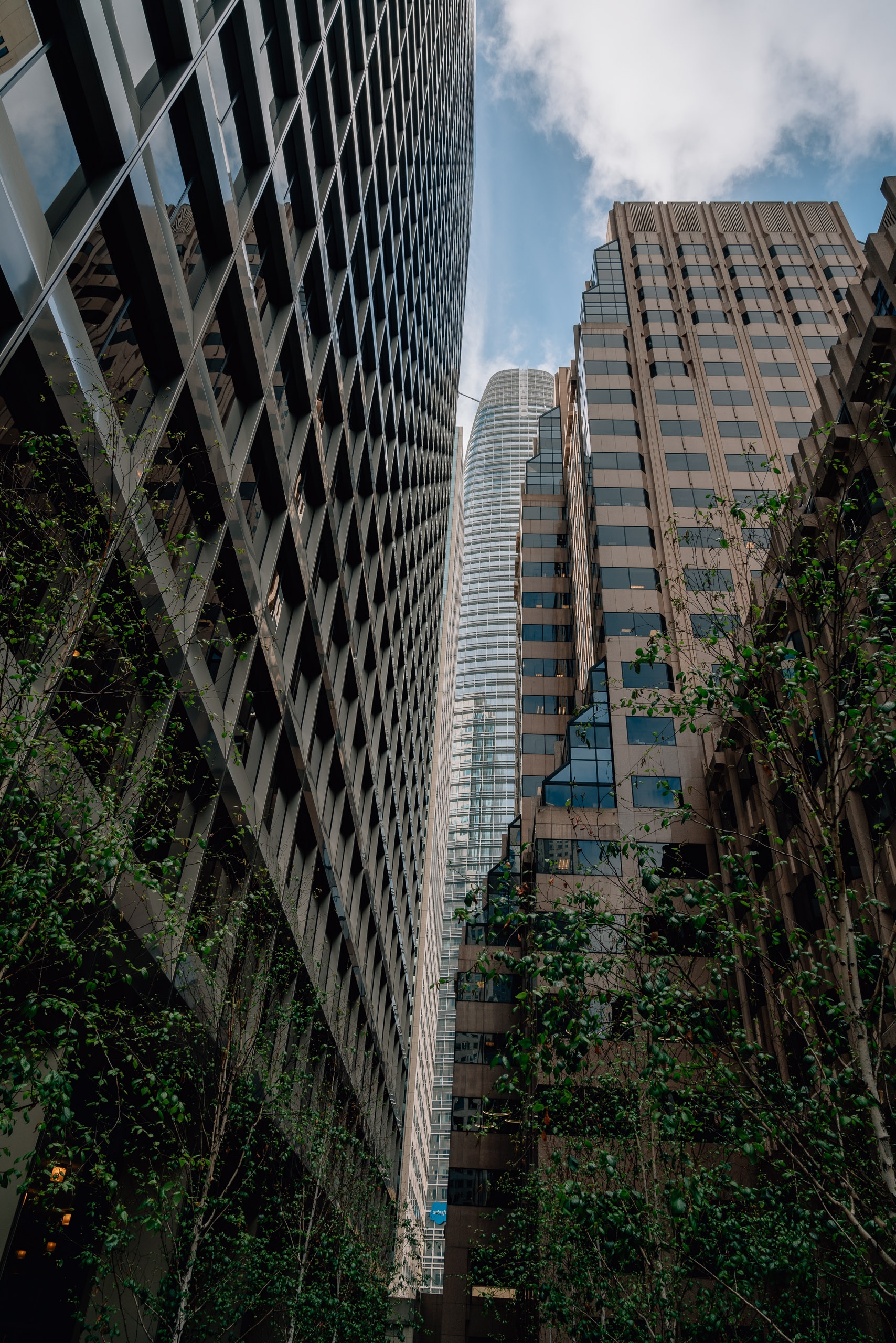 Tall office buildings frame a narrow urban canyon lined with climbing ivy vines, their facades rising toward a bright blue sky with scattered clouds