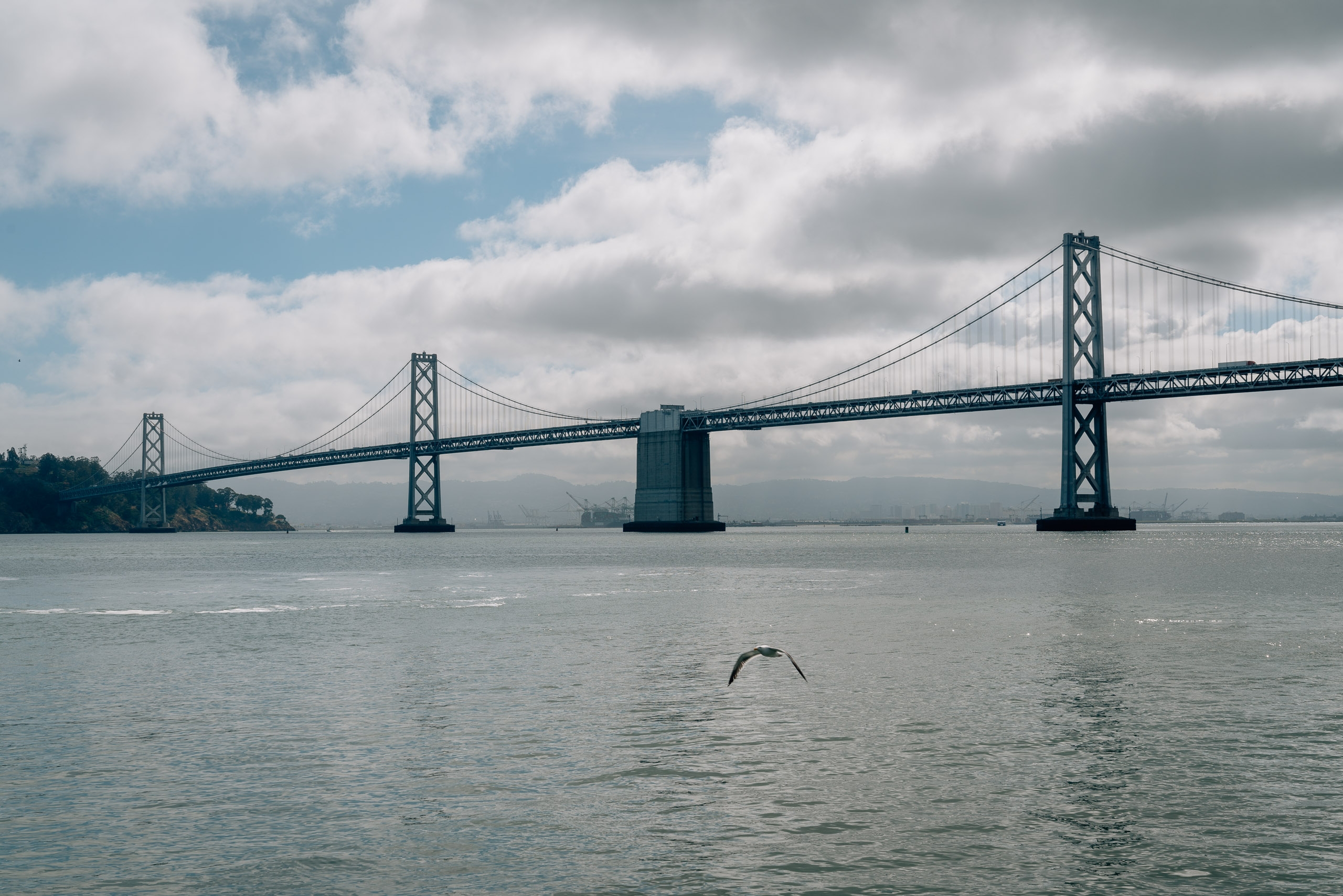 A seabird glides low over calm gray-blue water beneath the Bay Bridge, its steel towers and suspension cables stretching across the frame under partly cloudy skies