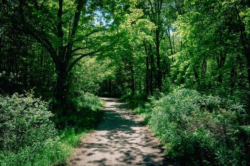 Ward Pound Ridge Reservation - 2019-0526-DSC06121