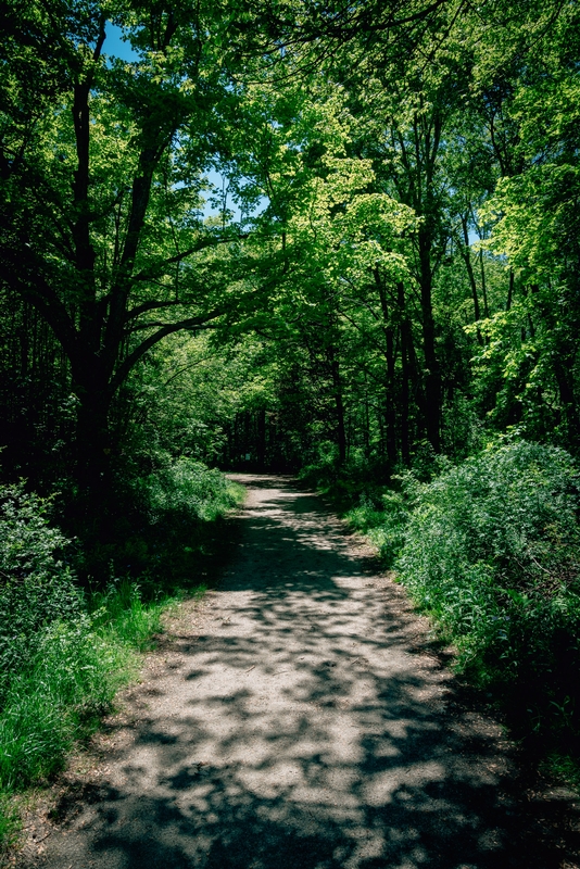 Ward Pound Ridge Reservation - 2019-0526-DSC06122