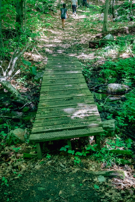 Ward Pound Ridge Reservation - 2019-0526-DSC06133