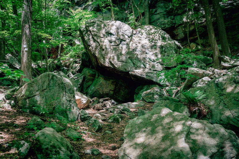 Ward Pound Ridge Reservation - 2019-0526-DSC06150