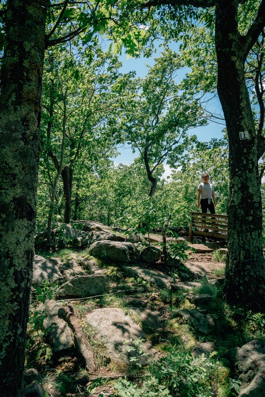 Ward Pound Ridge Reservation - 2019-0526-DSC06153