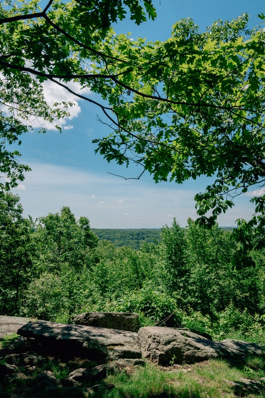 Ward Pound Ridge Reservation - 2019-0526-DSC06155