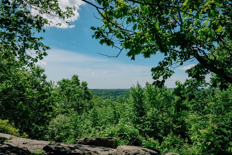 Ward Pound Ridge Reservation - 2019-0526-DSC06156