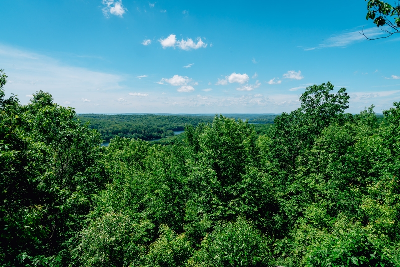 Ward Pound Ridge Reservation - 2019-0526-DSC06158