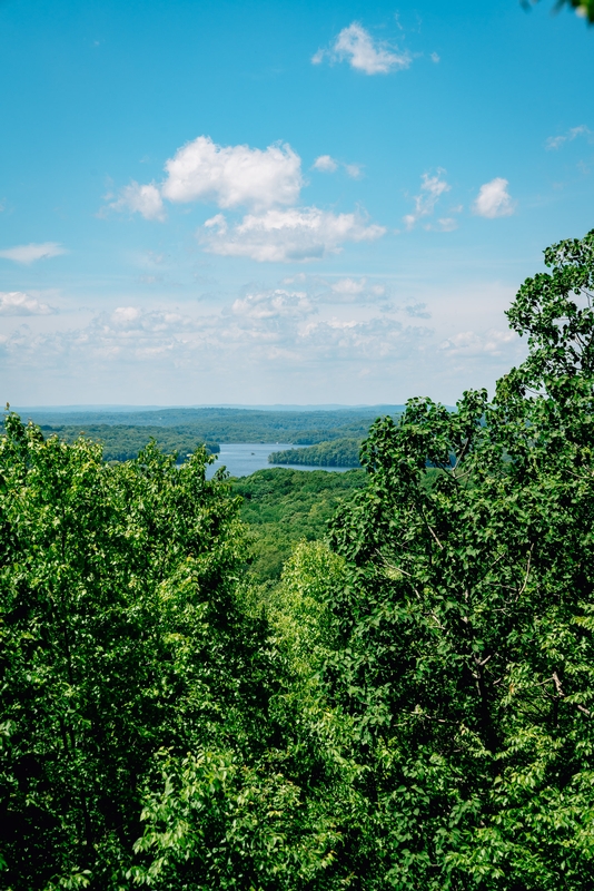 Ward Pound Ridge Reservation - 2019-0526-DSC06162