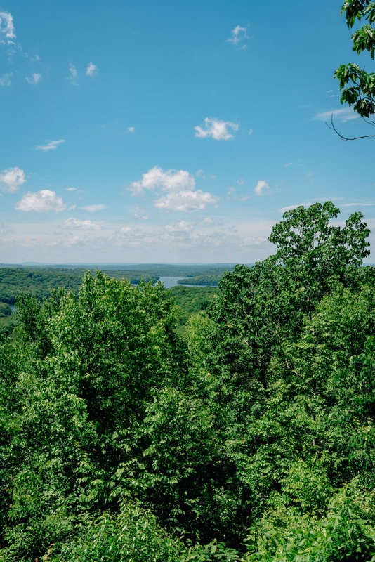 Ward Pound Ridge Reservation - 2019-0526-DSC06166