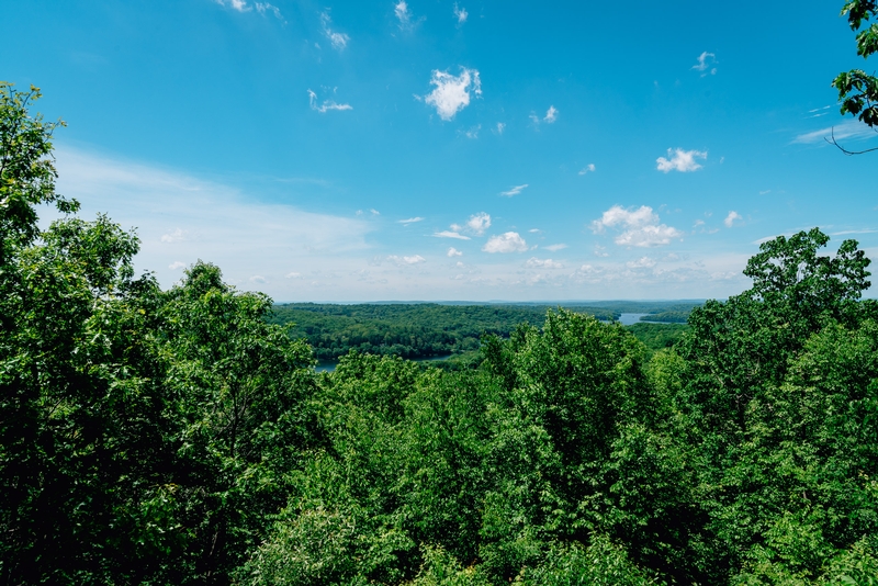 Ward Pound Ridge Reservation - 2019-0526-DSC06168