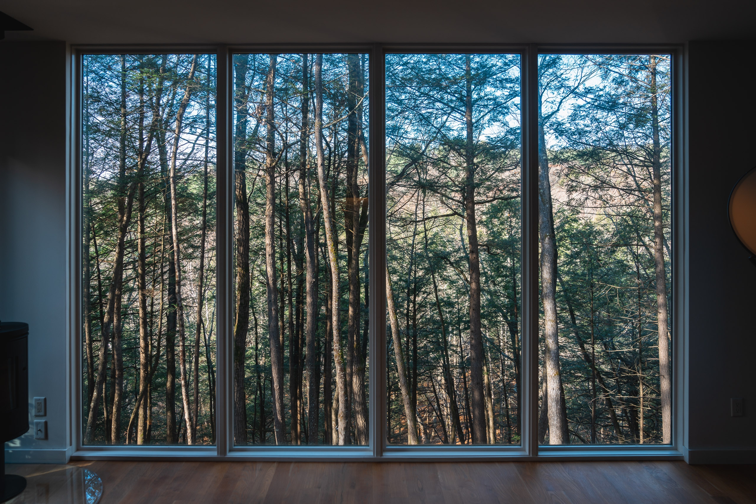 Large glass doors frame a dense forest of tall trees with golden afternoon light filtering through bare and leafy branches in a modern interior space