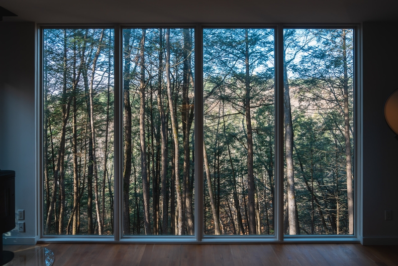 Forest View Through Modern Glass Doors