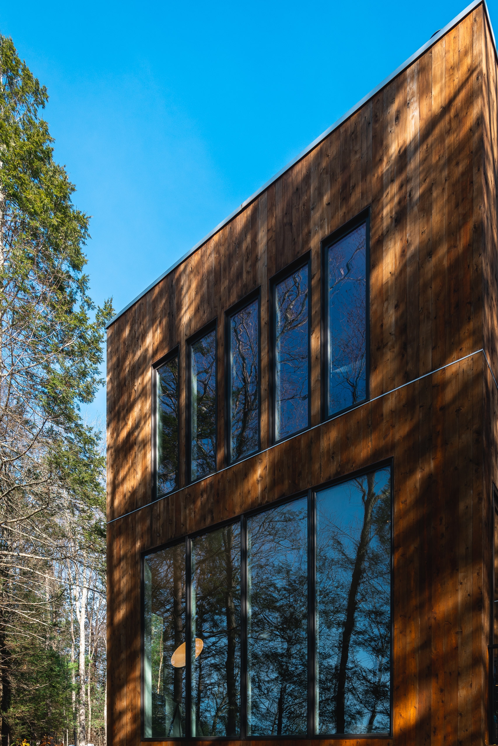Modern residential building with weathered rust-colored metal cladding and expansive windows reflects surrounding birch trees against clear blue sky