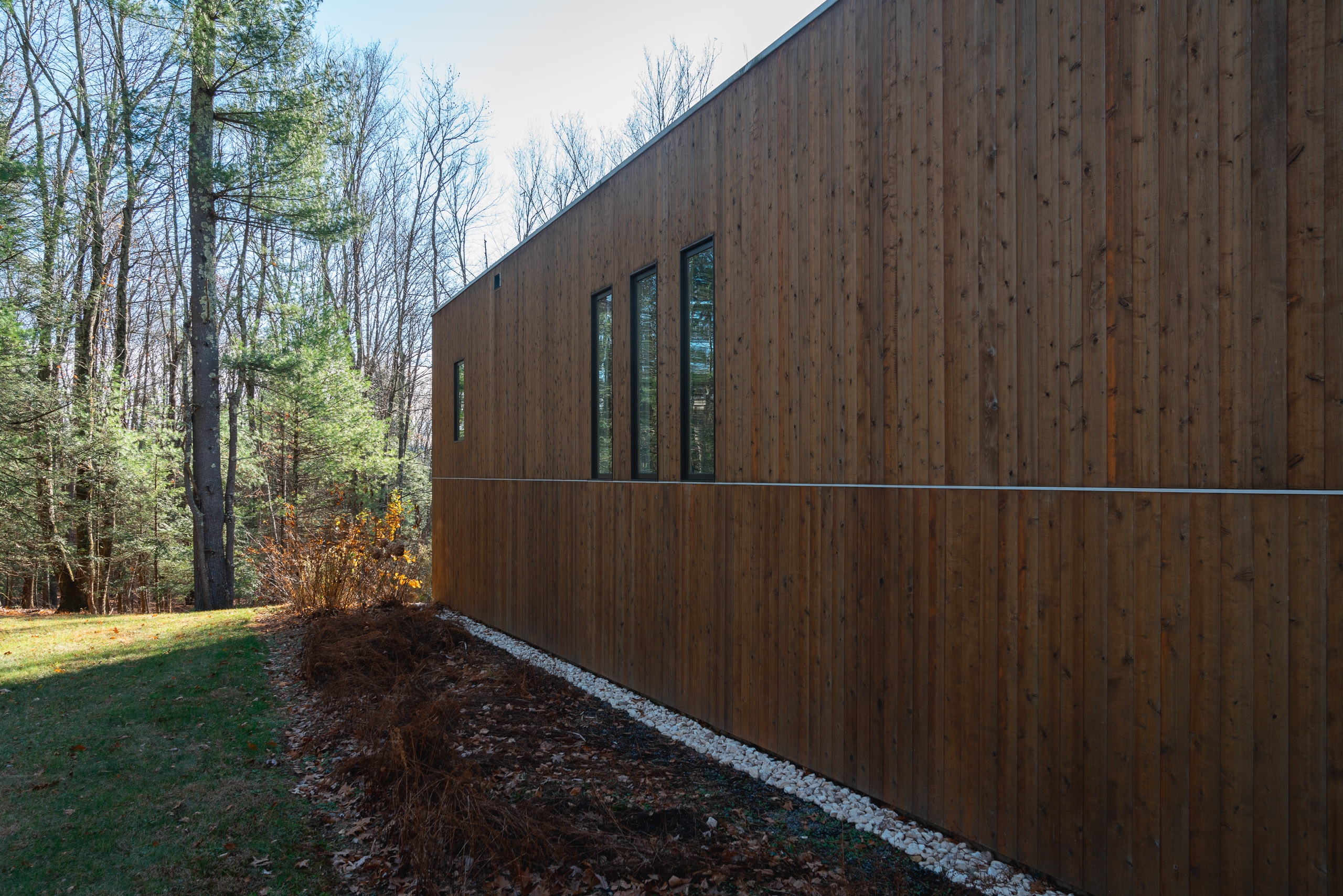 Modern wooden cabin with dark stained timber siding and tall windows sits among bare trees and evergreens, with mulch landscaping and clear sky above