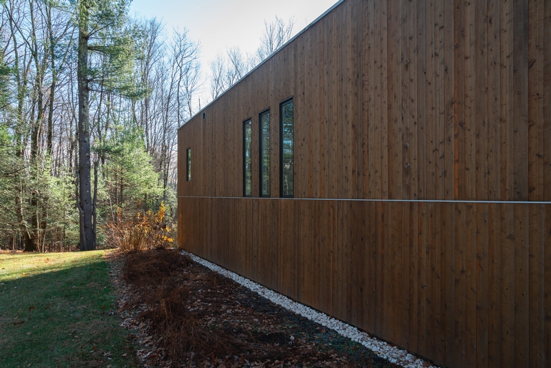 Modern Cabin Among Winter Trees
