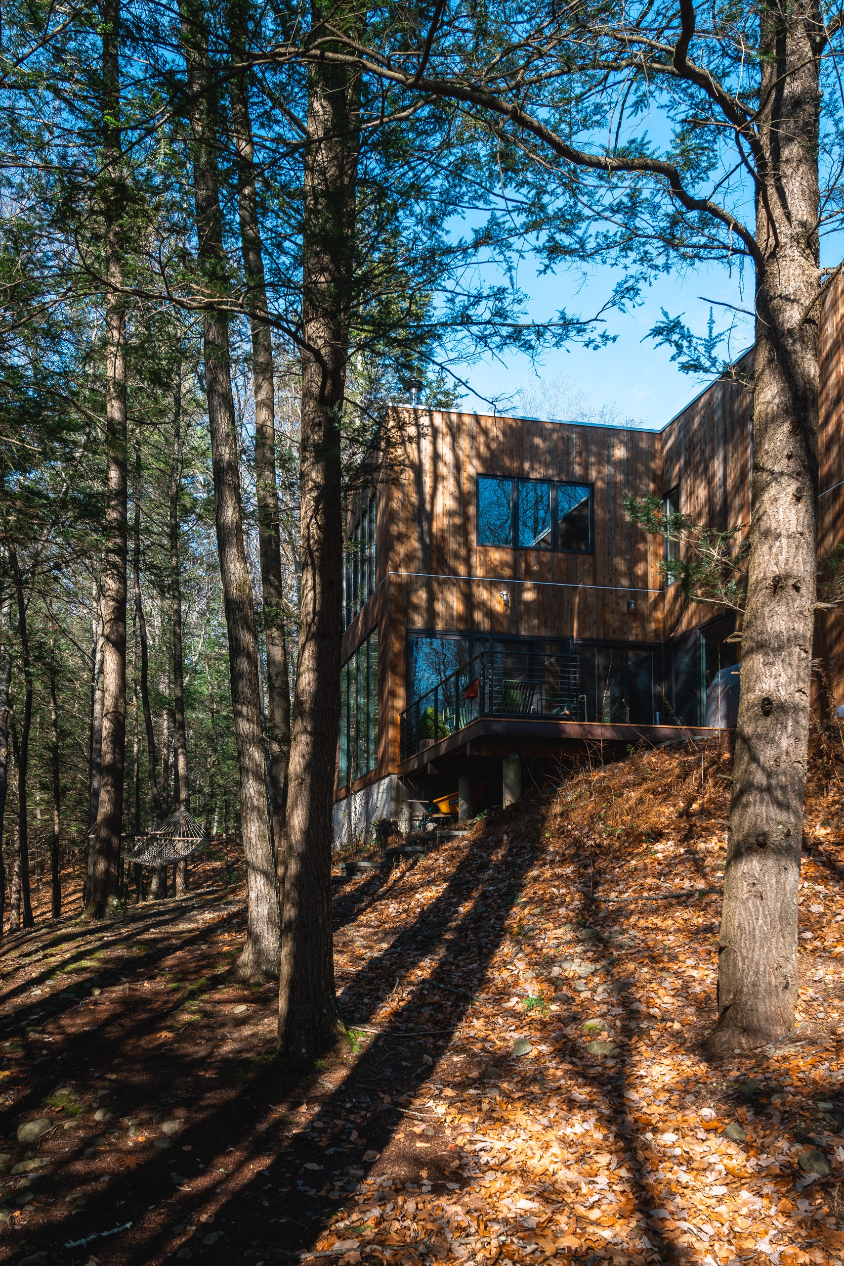 A modern brown metal structure nestled among tall trees casts long shadows across a forest floor carpeted with autumn leaves under clear blue sky