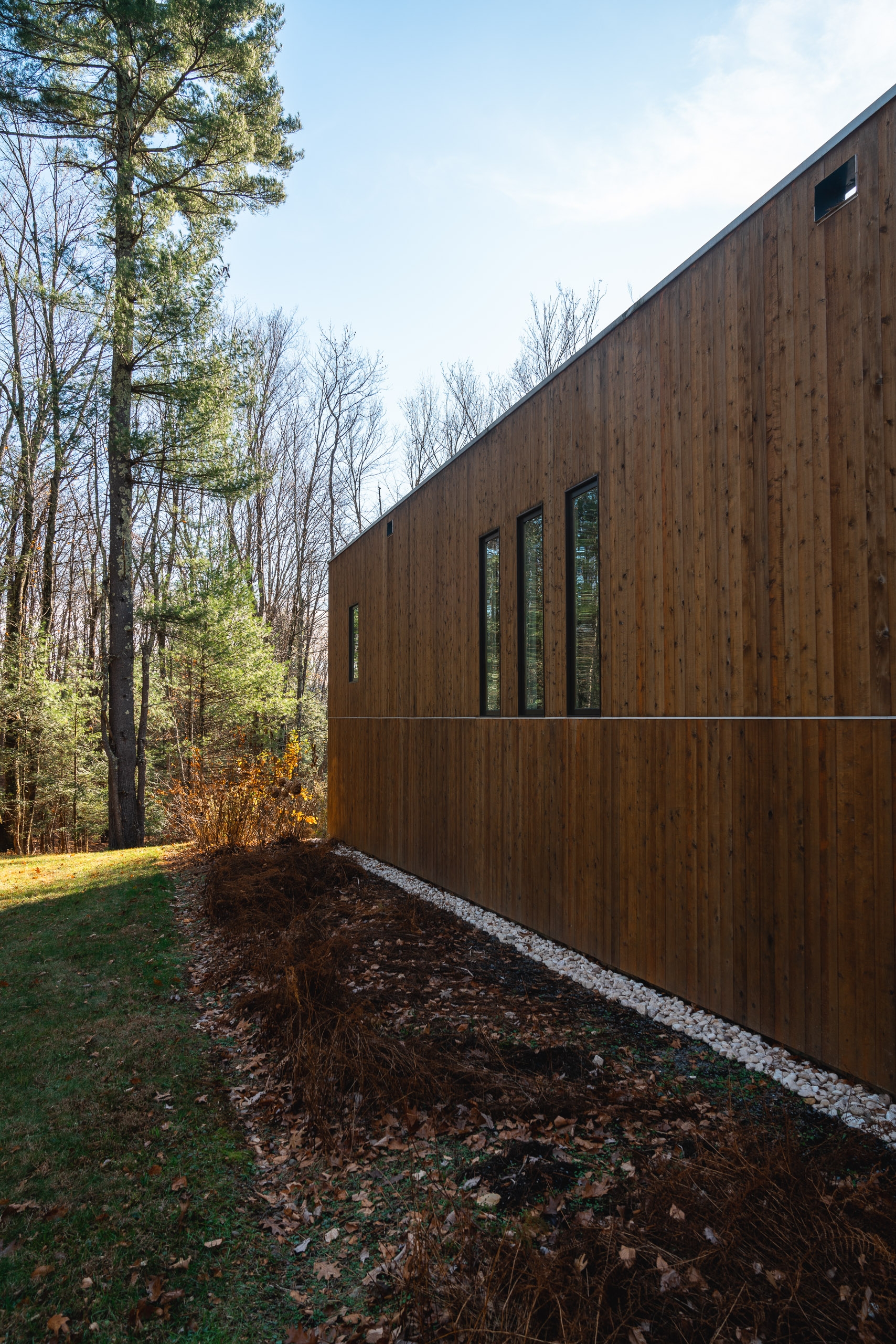 A modern wooden-clad house with tall vertical windows sits nestled among deciduous trees in early spring, with mulched ground and bare branches visible in the surrounding woodland setting