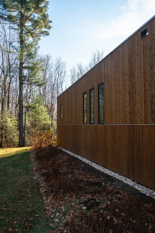 Modern Wooden House in Spring Forest
