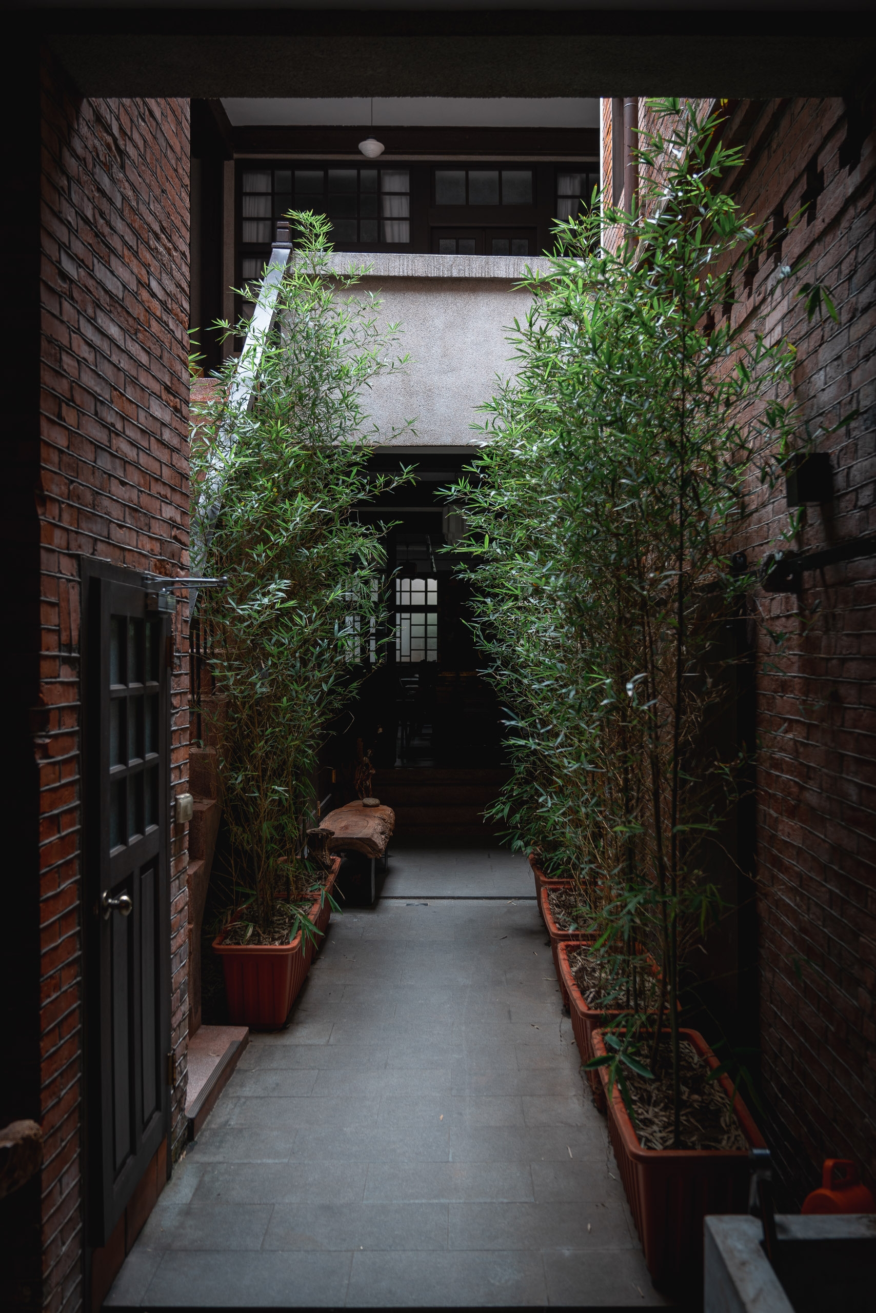 A narrow brick alleyway in Taipei lined with climbing ivy in terracotta planters leads toward a shadowed doorway, with dark wooden doors flanking the passage under natural overhead light