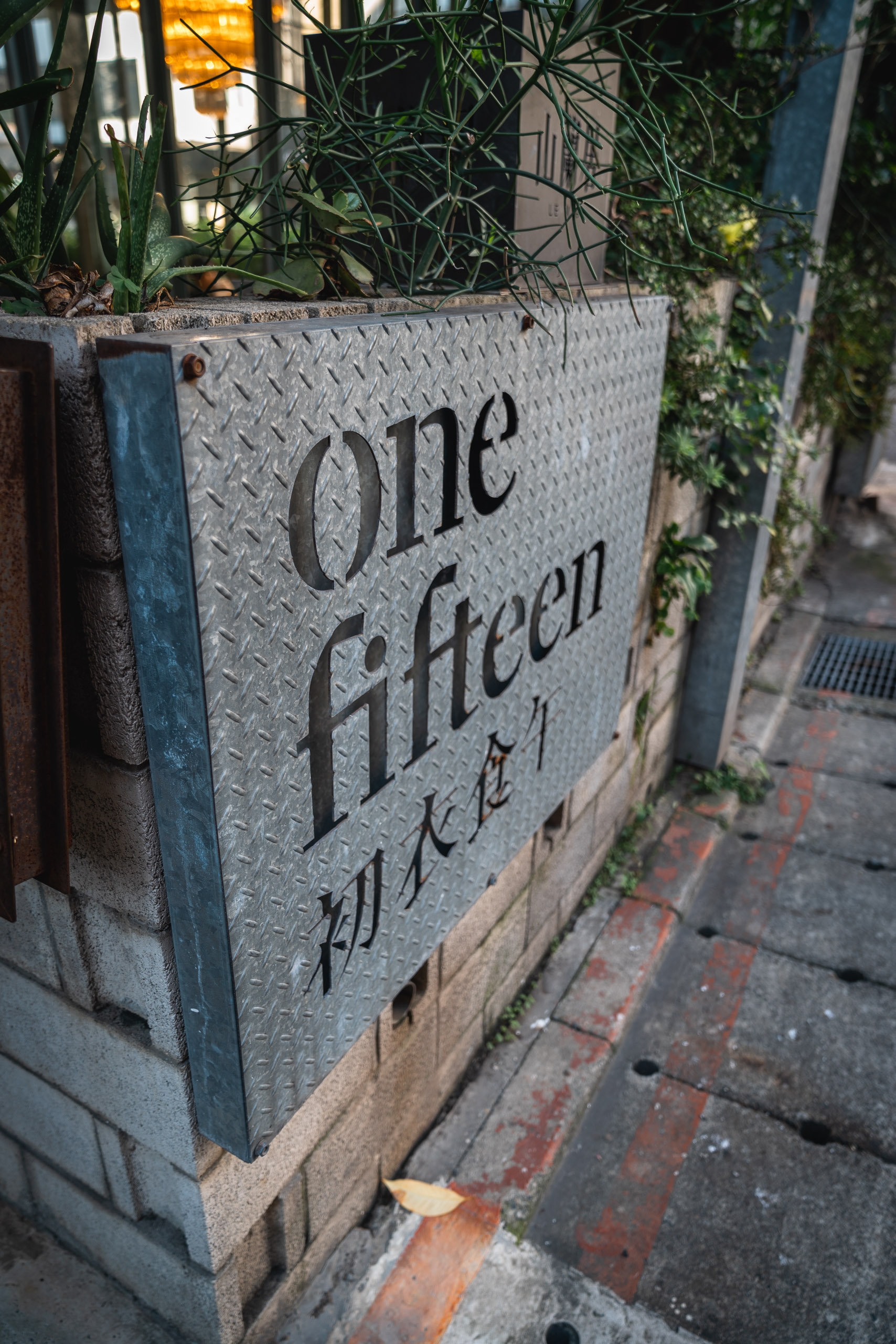 Metal planter box with "one fifteen" engraved text sits against a building wall, overgrown with trailing vines and potted plants, with warm light from a window above and brick pavement below