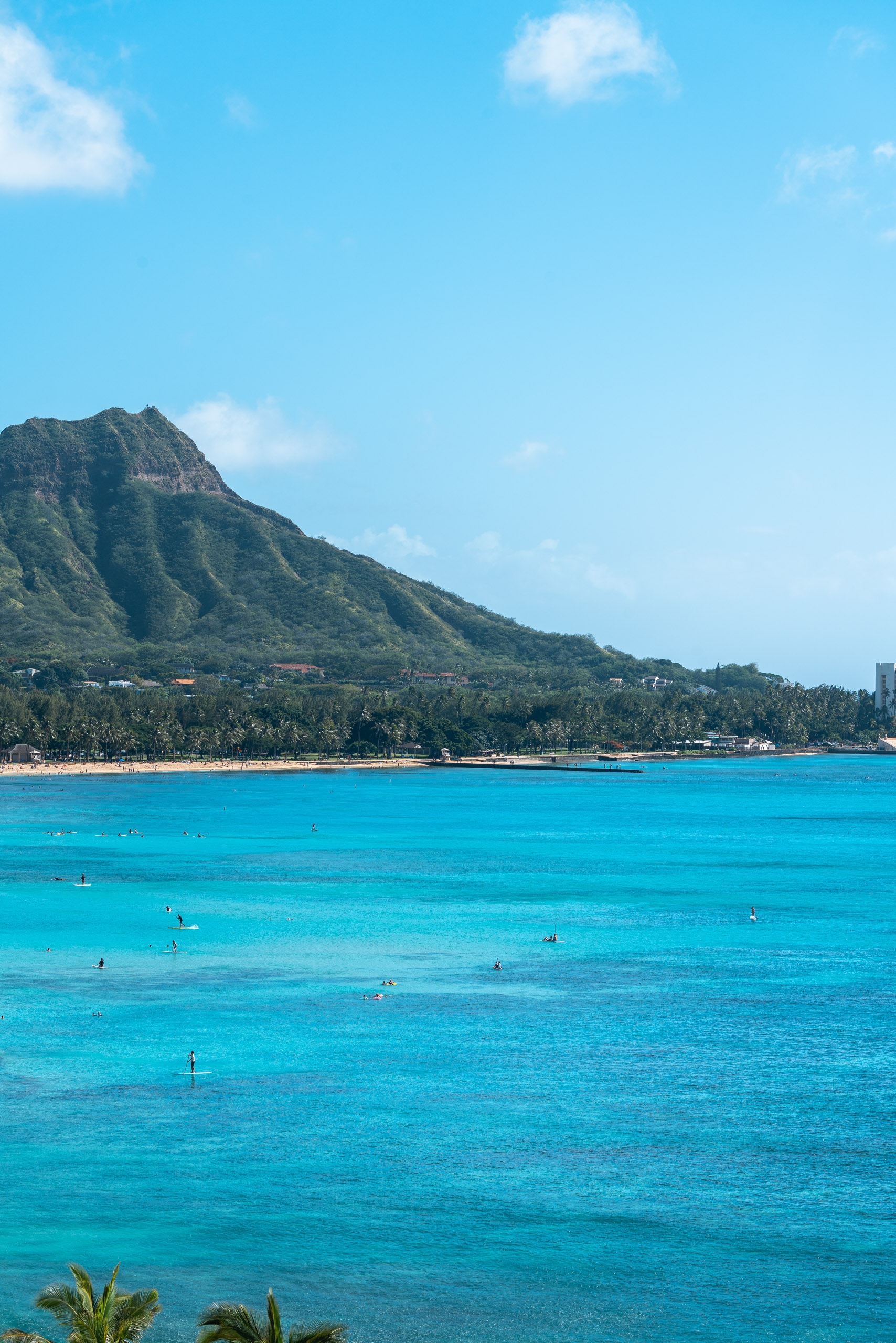 A verdant volcanic mountain rises behind Waikiki Beach, where turquoise waters dotted with swimmers meet a palm-lined sandy shore beneath clear blue sky