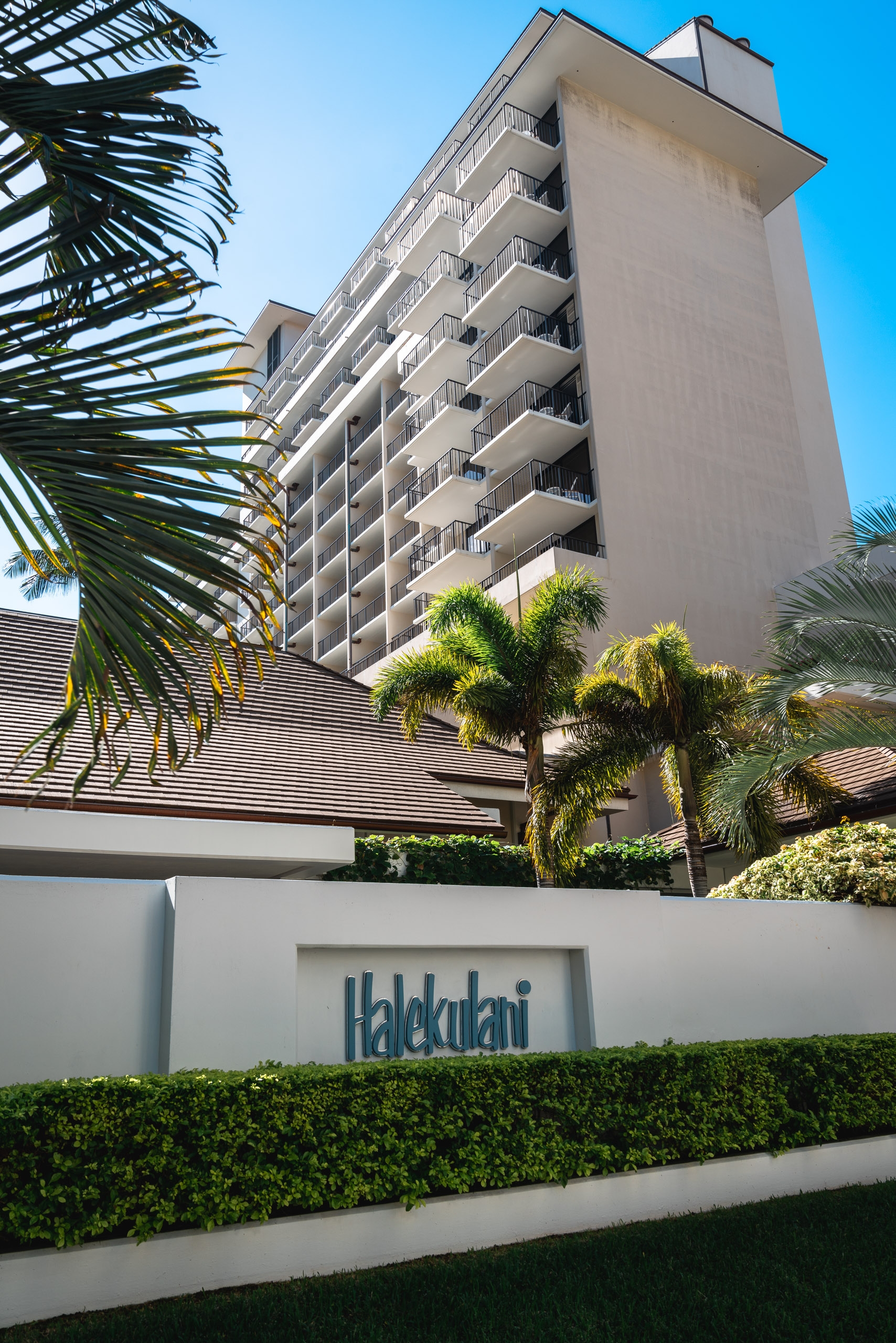 A multi-story beige hotel building rises behind tropical palm trees and a white entrance wall displaying the Halekulani name under clear blue sky