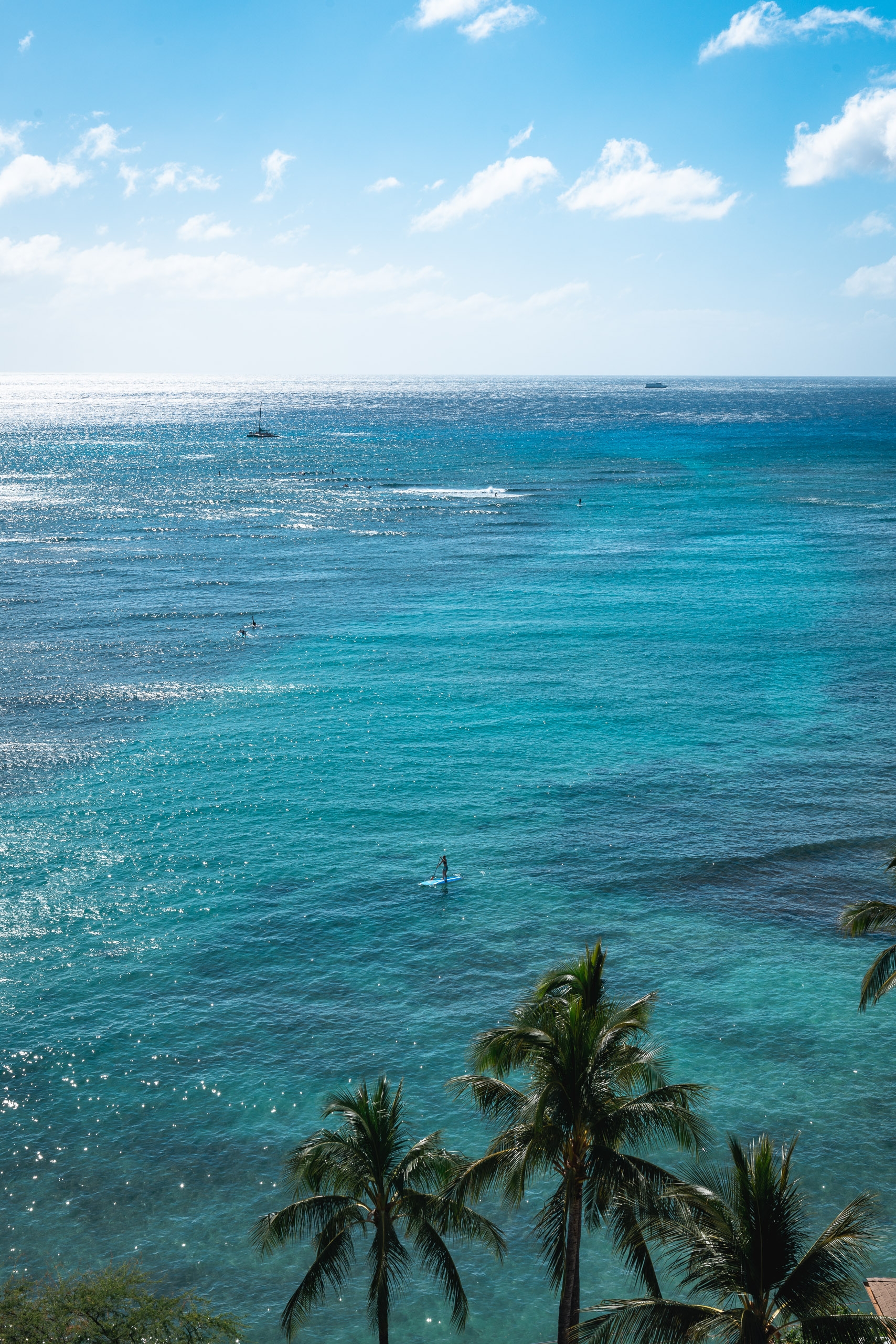 Palm fronds frame turquoise ocean waters where swimmers and boats dot the shallow tropical bay beneath a bright blue sky with scattered white clouds