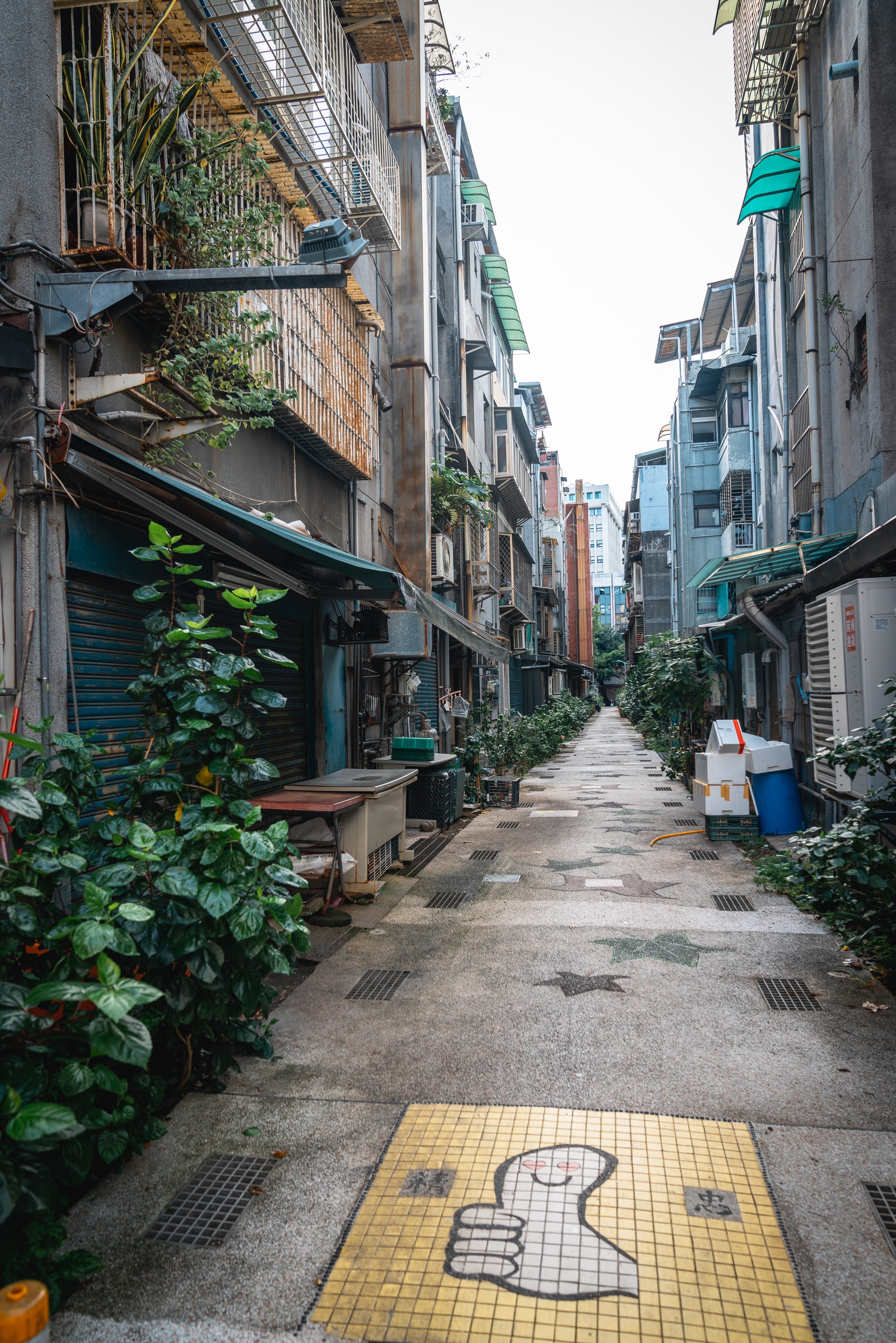 A narrow alleyway in Taipei lined with weathered apartment buildings, potted plants, and shuttered storefronts, with a yellow tile mosaic design embedded in the ground