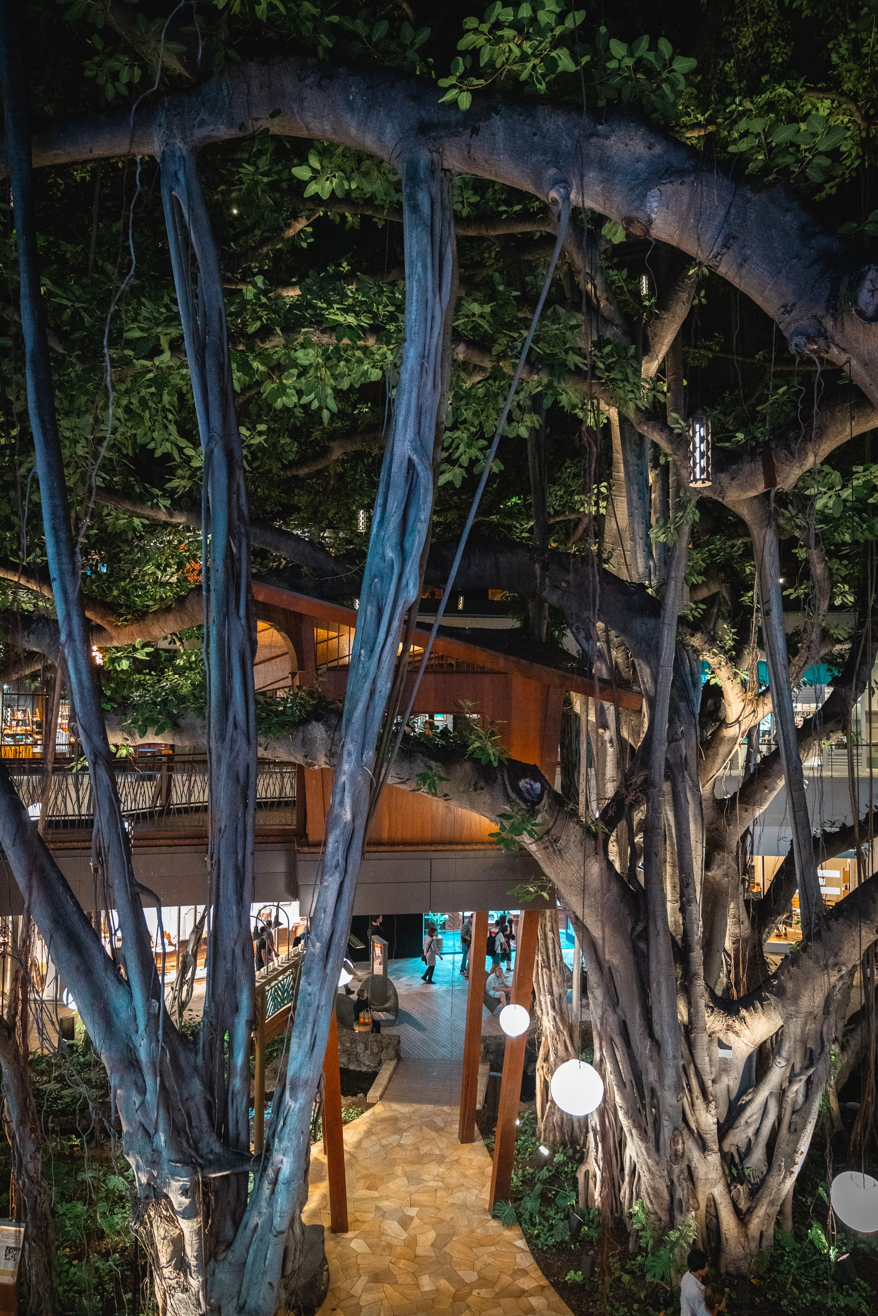 Massive banyan tree with gnarled blue-painted trunks frames an illuminated courtyard entrance at Halekulani Hotel, with lush foliage overhead and warm ground lighting visible below