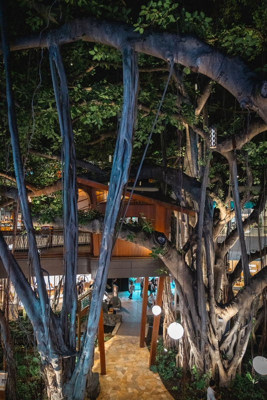 Banyan Tree Frames Halekulani Courtyard