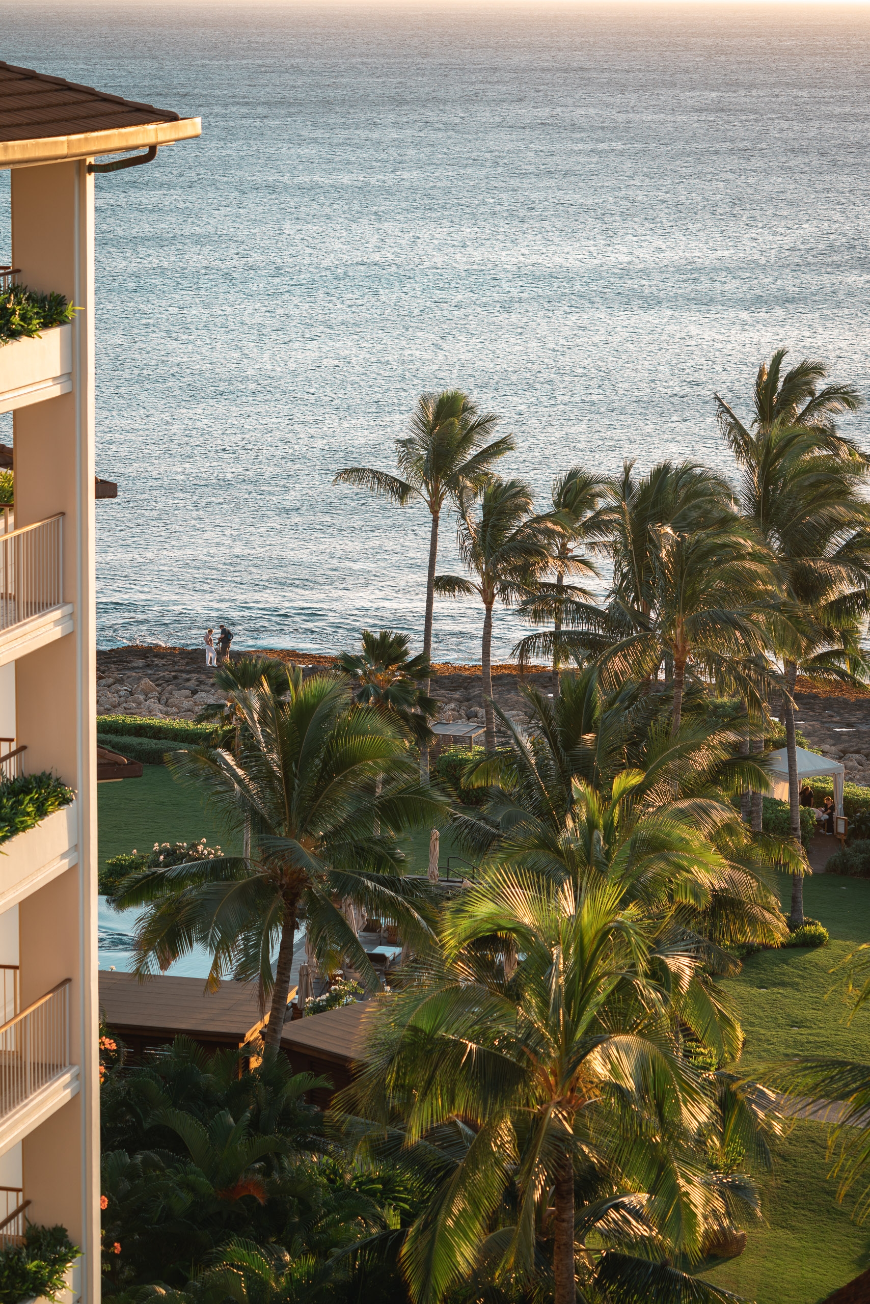 A beachfront resort building overlooks palm trees and a manicured lawn with the calm turquoise ocean beyond at golden hour