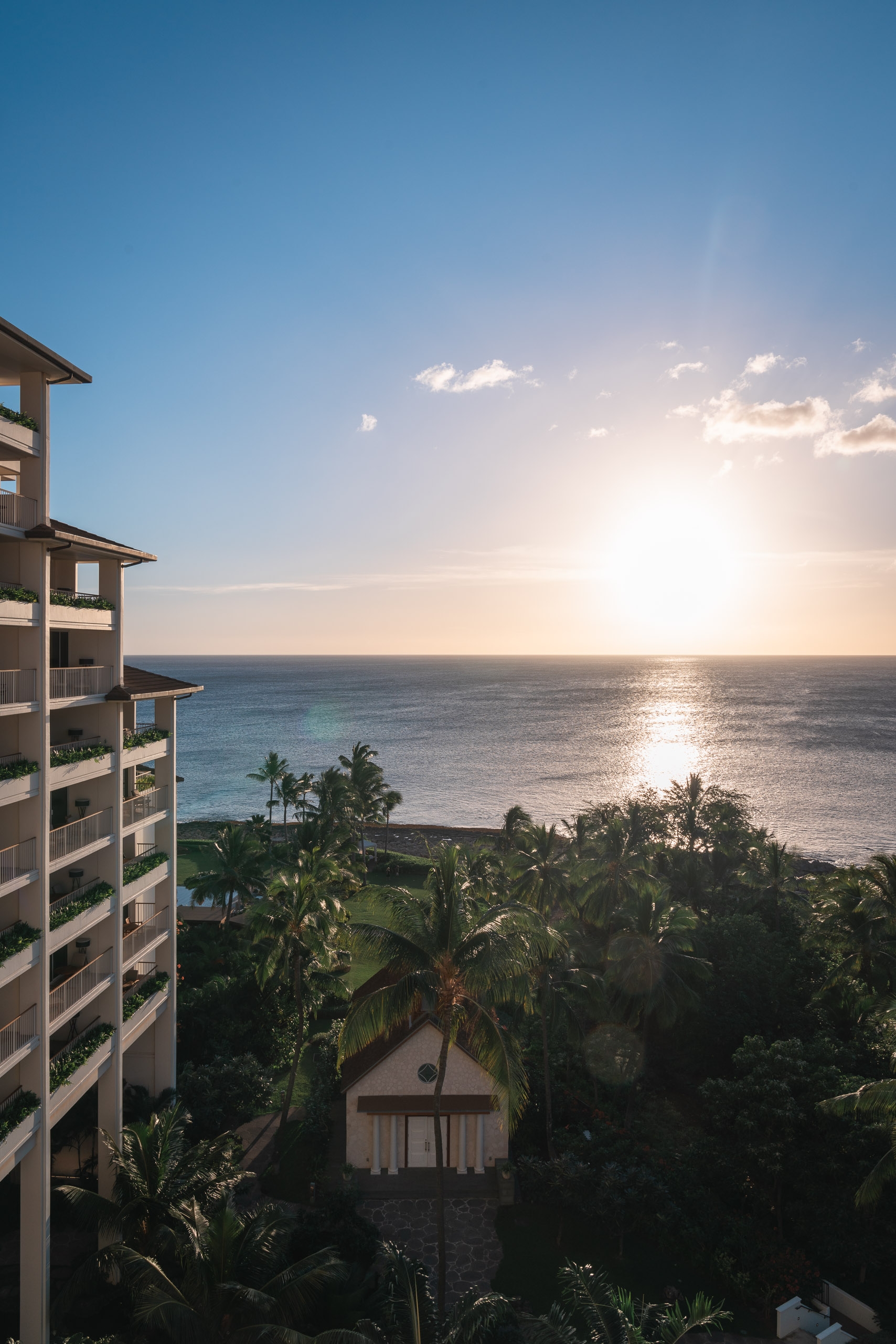 A modern beachfront resort building overlooks tropical palm trees and a calm ocean with golden sunset light reflecting across the water under a clear blue sky