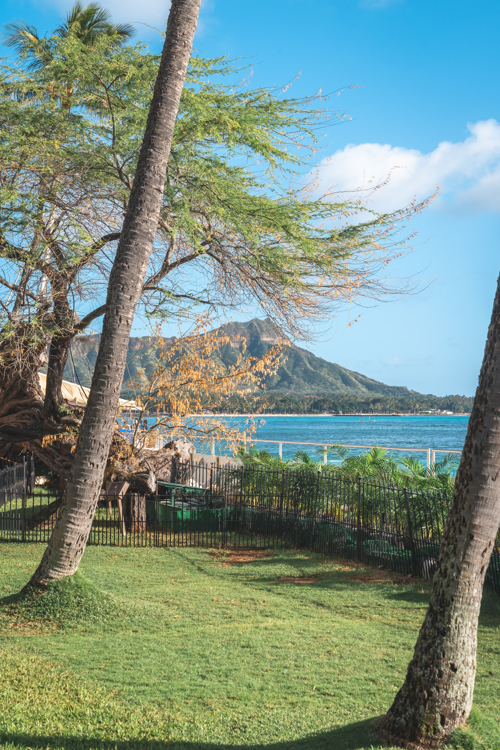 Palm trees frame a lush green lawn overlooking turquoise waters and a volcanic mountain under clear blue sky at a Hawaiian beachfront resort