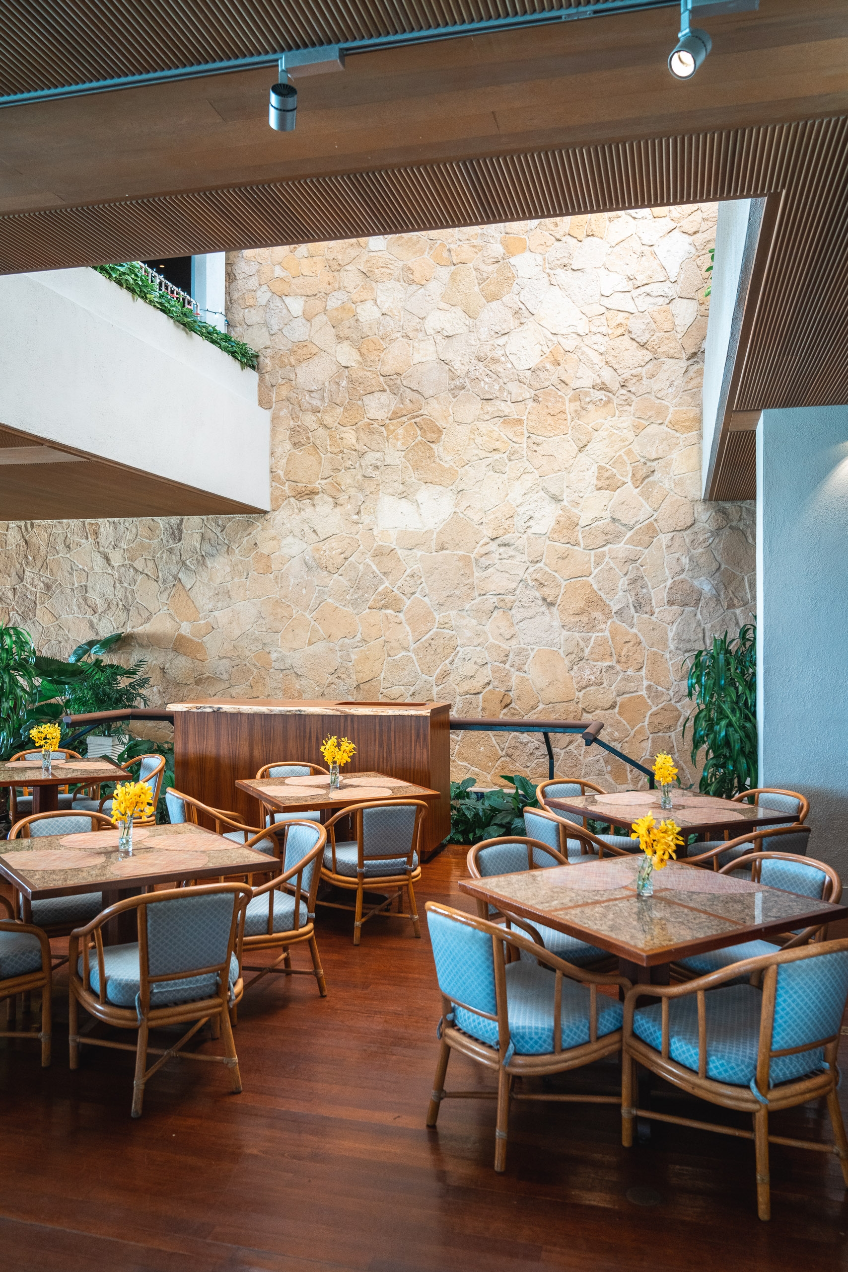 Modern restaurant interior with wooden tables, blue upholstered chairs, and a dramatic stacked stone accent wall, lit by overhead track lighting and natural daylight