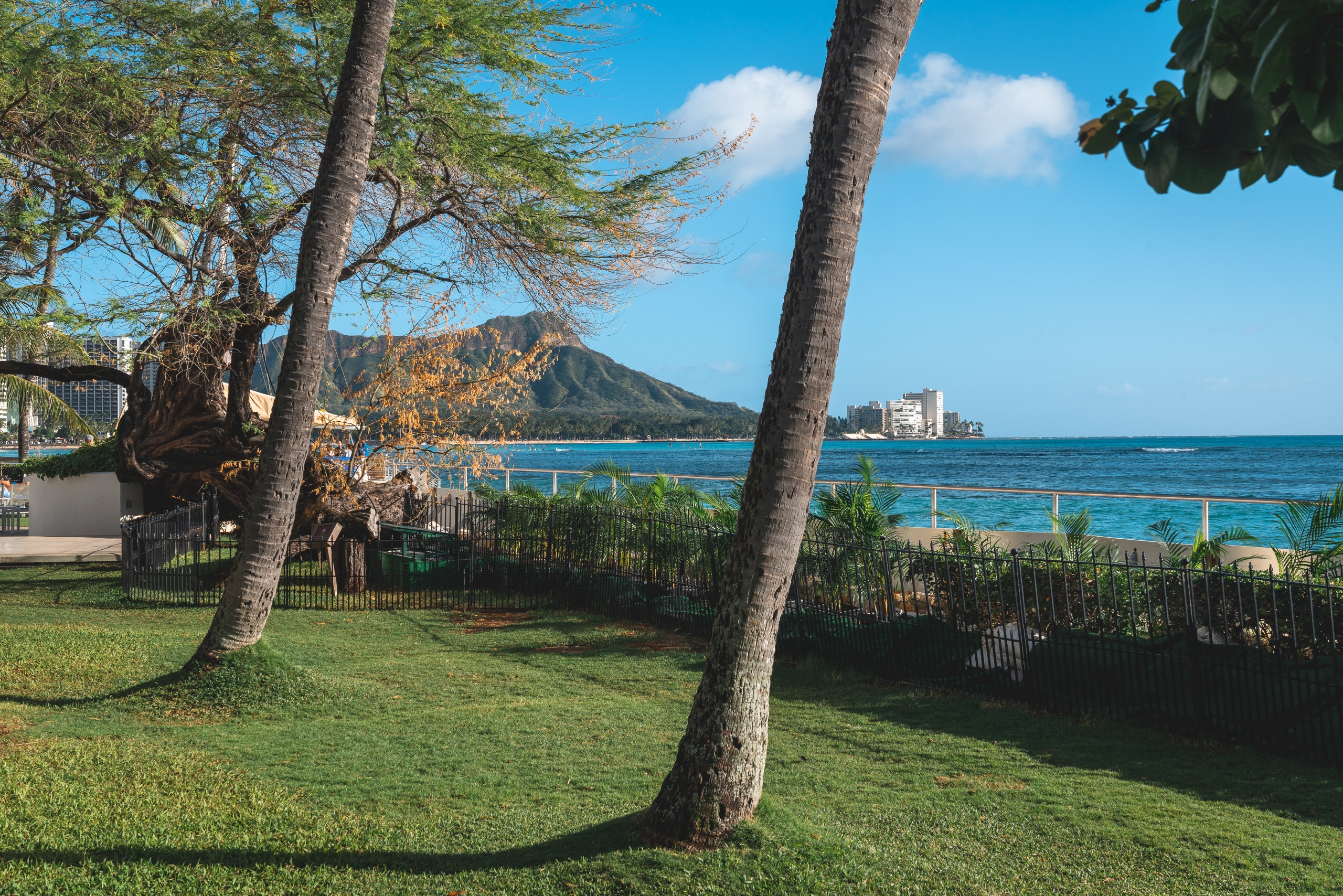Palm trees frame a manicured lawn overlooking turquoise waters, Diamond Head mountain, and Waikiki's beachfront hotels under clear blue sky