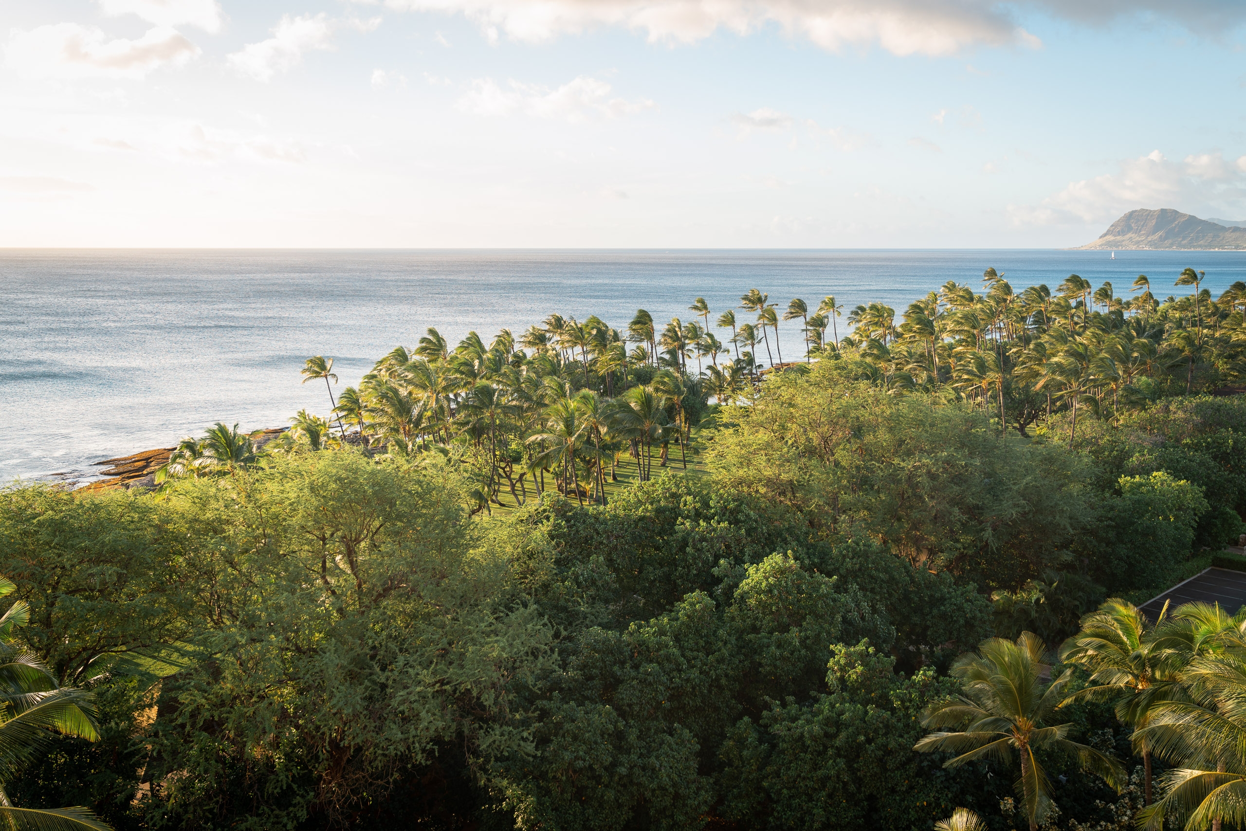 Dense tropical vegetation and palm trees blanket the coastal landscape, overlooking turquoise waters and a distant volcanic island under bright afternoon sunlight