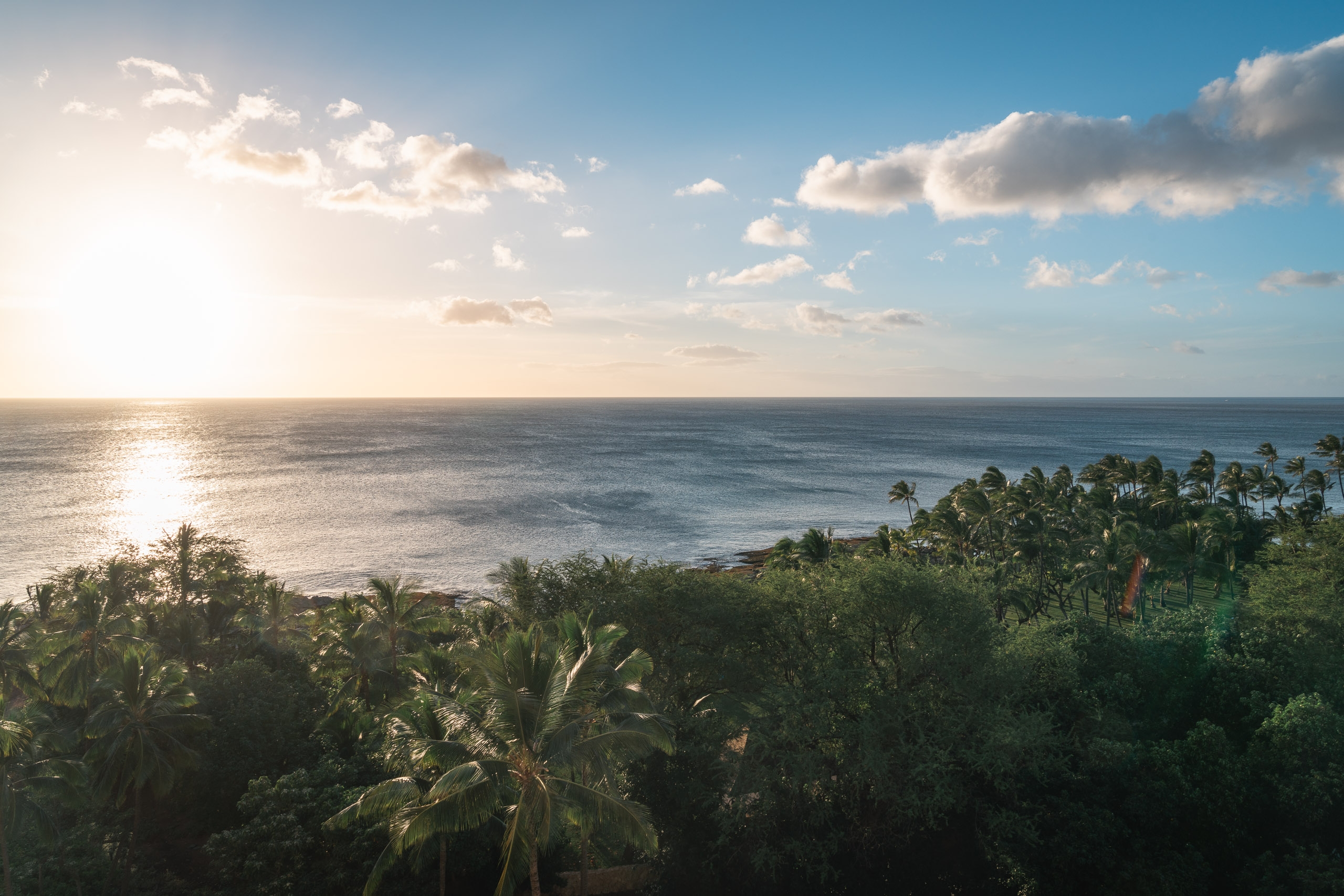 Tropical coastline with palm trees framing calm ocean waters under partly cloudy skies, golden sunlight reflecting off the sea at dusk